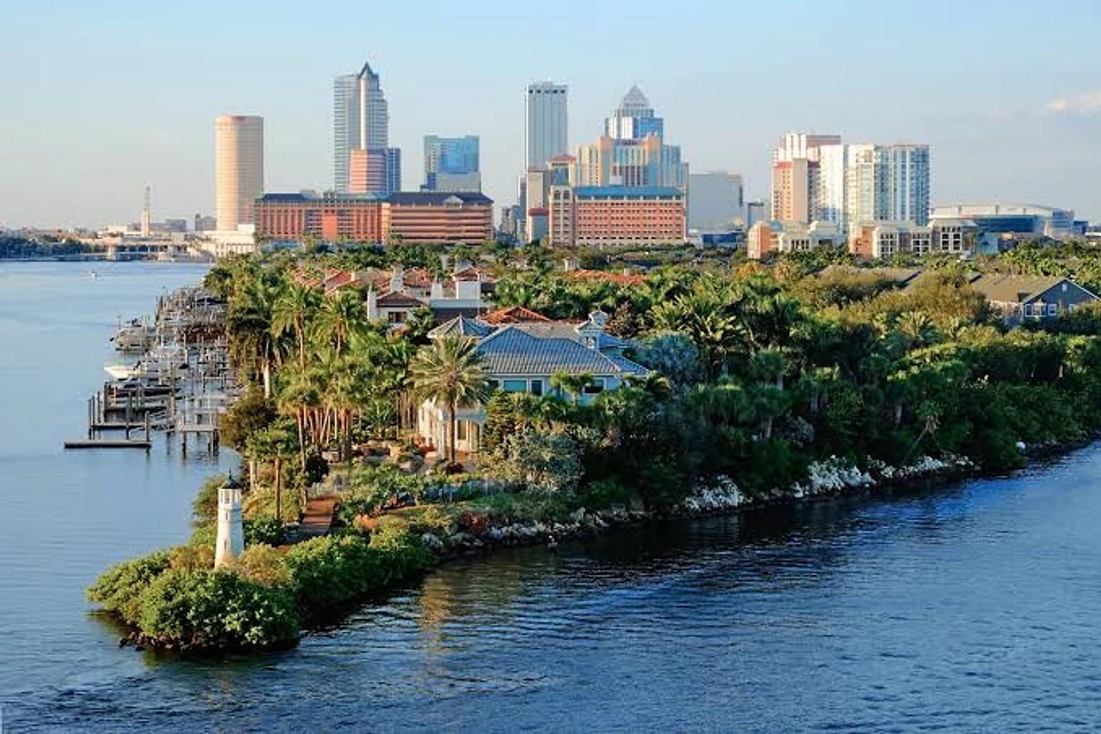 Tampa skyline along the bay representing Tampa Tree Co. service area